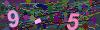 captcha-1787849266