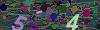captcha-1787880734