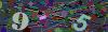 captcha-1787919881