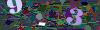 captcha-1788145519