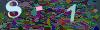 captcha-1788155843
