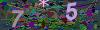 captcha-1788171993