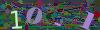 captcha-1788180030