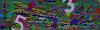 captcha-1788205508