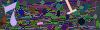 captcha-1788224402