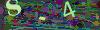 captcha-1788238113