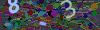 captcha-1788244279