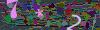 captcha-1788249868