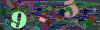 captcha-1788275426