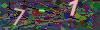captcha-1788299341