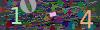 captcha-1788460506