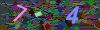 captcha-1788501482