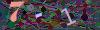 captcha-1788572991