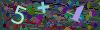 captcha-1788620627