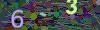 captcha-1788623056