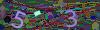 captcha-1788657454
