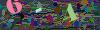 captcha-1788685710