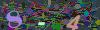 captcha-1788765186