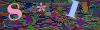 captcha-1788767828