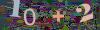 captcha-1788774856