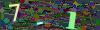 captcha-1788775067