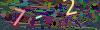 captcha-1788781877