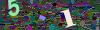 captcha-1788819546