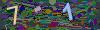 captcha-1788820693