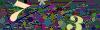 captcha-1788844744