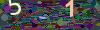 captcha-1788847867