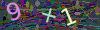 captcha-1788850023
