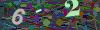 captcha-1788857990