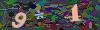 captcha-1788864975