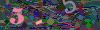 captcha-1788911096