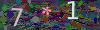 captcha-1788957312
