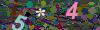 captcha-1788995625
