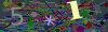captcha-1788998320