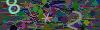 captcha-1789025809