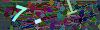 captcha-1789055577