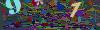captcha-1789079862