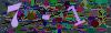 captcha-1789251873