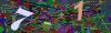 captcha-1789266204