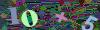 captcha-1789330376