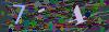 captcha-1789386608