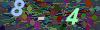 captcha-1789419197