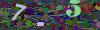 captcha-1789428996
