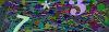 captcha-1789475311