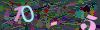 captcha-1789602344
