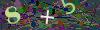 captcha-1789631483