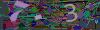 captcha-1789837010